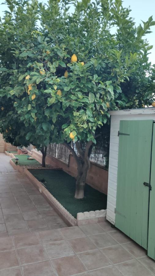 Es Cantonet Calvia  ภายนอก รูปภาพ